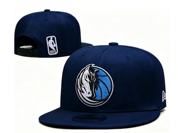 NBA Snapbacks(2)-0121