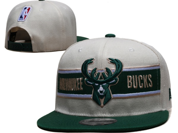 NBA Snapbacks(2)-0129