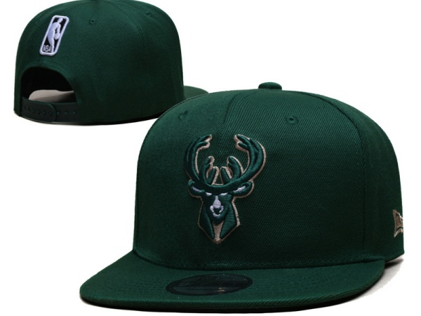 NBA Snapbacks(2)-0130