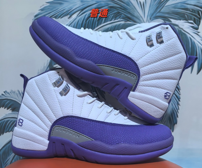 Jordan12-M-0067