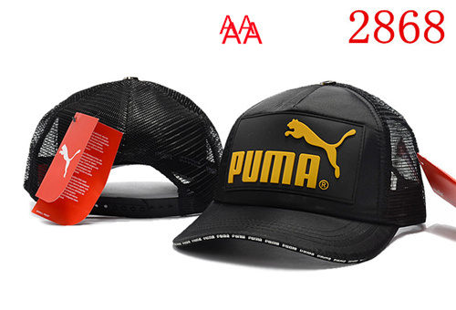 Other Snapbacks(AA)-0010