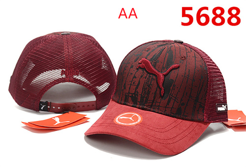 Other Snapbacks(AA)-0011