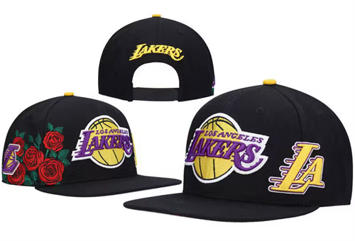 NBA Snapbacks(4)-0679