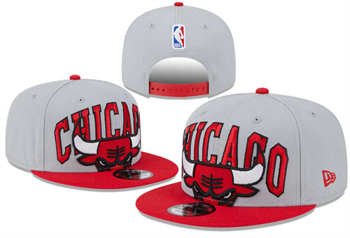 NBA Snapbacks(4)-0684