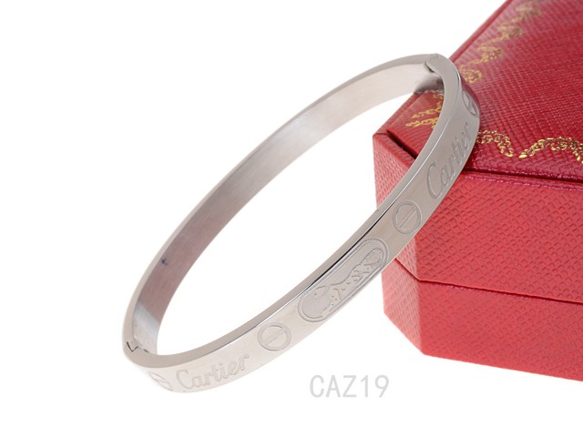 Cartier Bangle-019