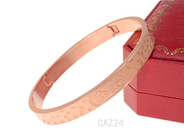 Cartier Bangle-024