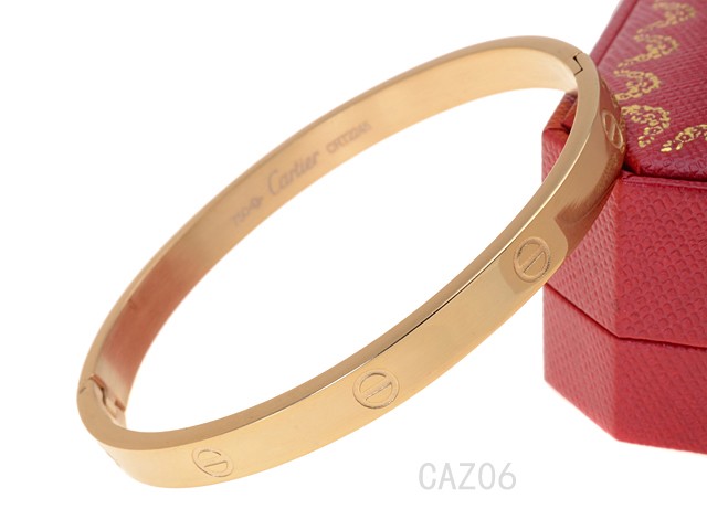 Cartier Bangle-006
