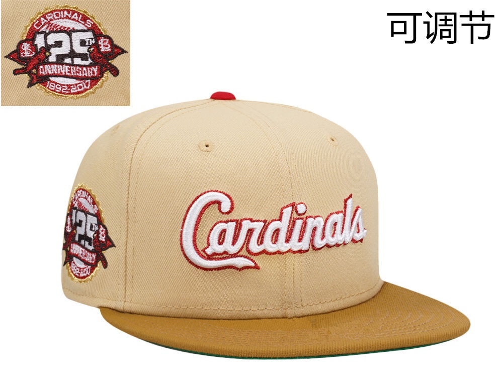 MLB Snapbacks(3)-219