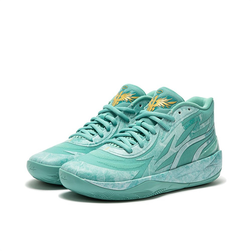 Puma Basketball shoes-0076