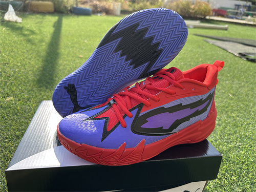 Puma Basketball shoes-0108