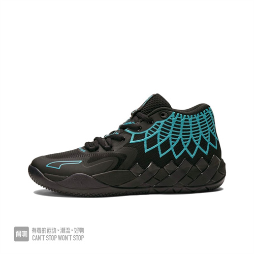 Puma Basketball shoes-037