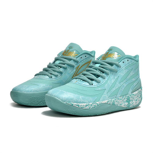 Puma Basketball shoes-W-0014
