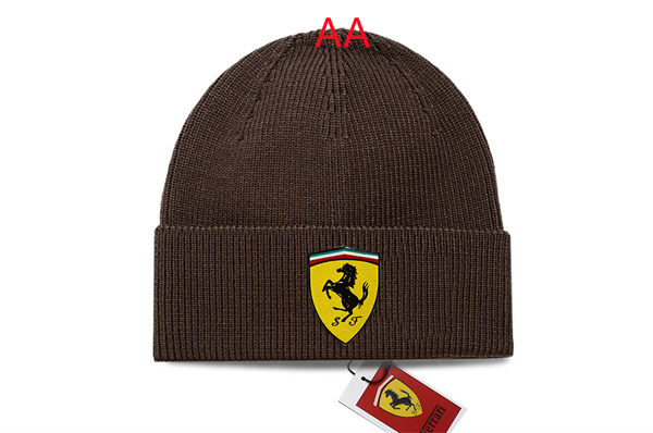 Beanies(AA)-0193