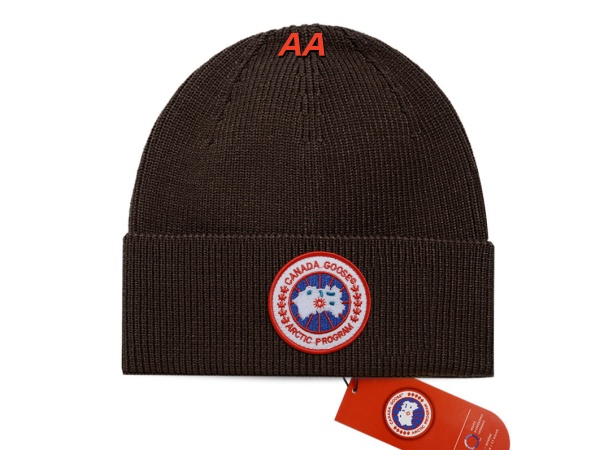 Beanies(AA)-0223