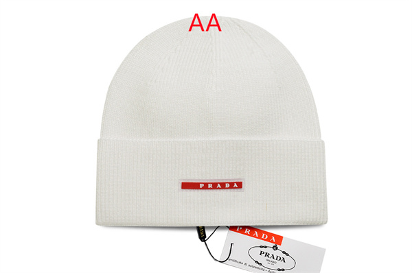 Beanies(AA)-0080