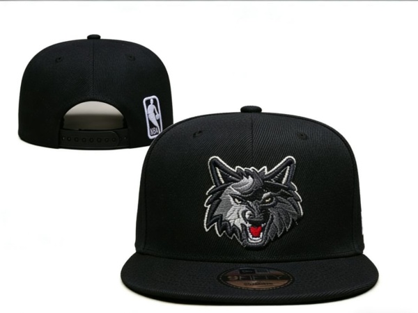 NBA Snapbacks(2)-0118