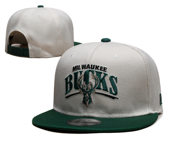 NBA Snapbacks(2)-0152