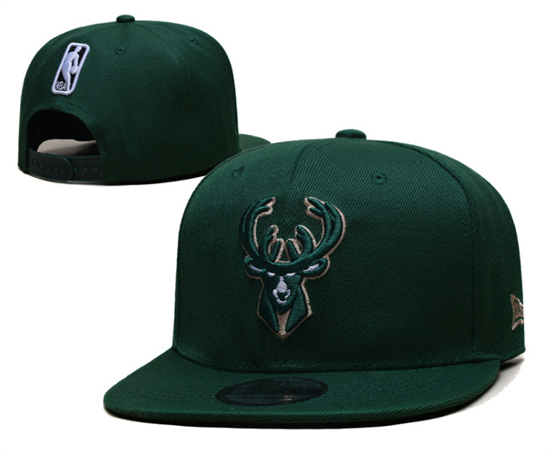 NBA Snapbacks(2)-0153