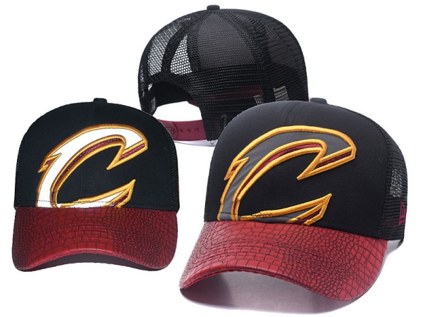 NBA Snapbacks(2)-0090
