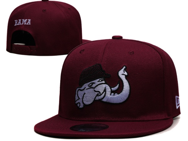 NCAA Snapbacks-0031
