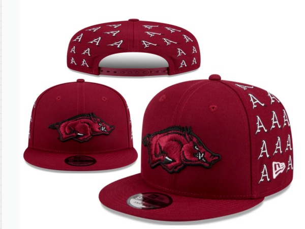 NCAA Snapbacks-0011