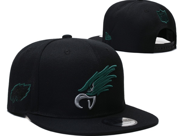 NFL Snapbacks(2)-0301