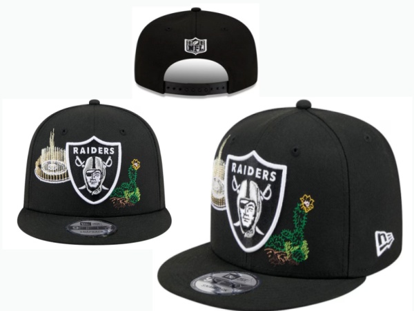 NFL Snapbacks(2)-0487