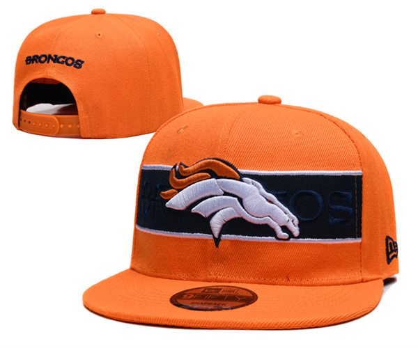 NFL Snapbacks(2)-0493