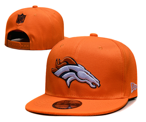 NFL Snapbacks(2)-0504