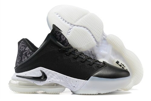 Lebron James 19(Low)-M-011