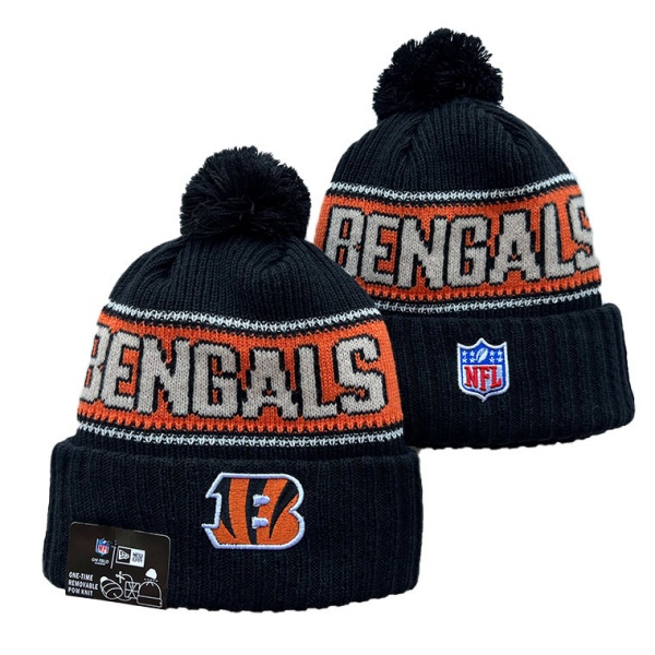 NFL Beanies(1)-0160
