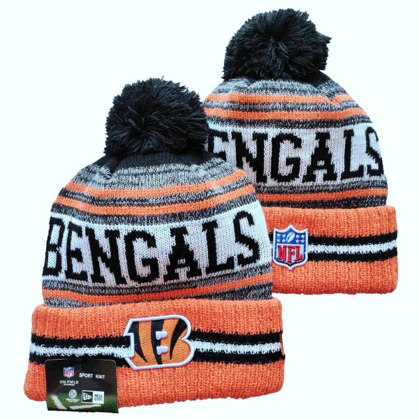 NFL Beanies(1)-0018