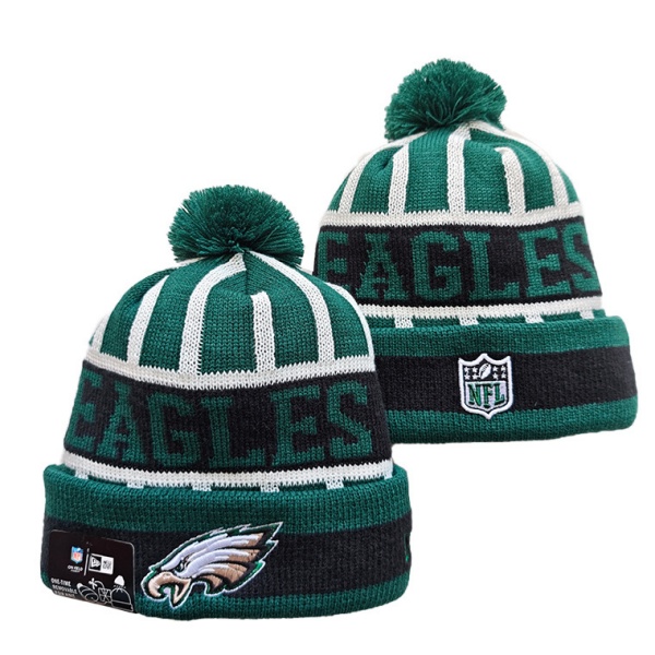 NFL Beanies(1)-0277