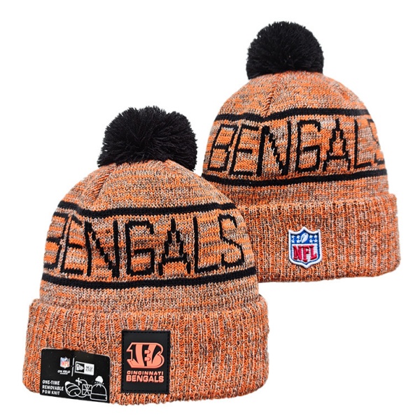 NFL Beanies(1)-0283