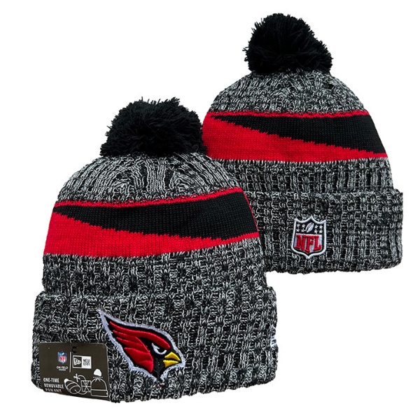 NFL Beanies(1)-0073