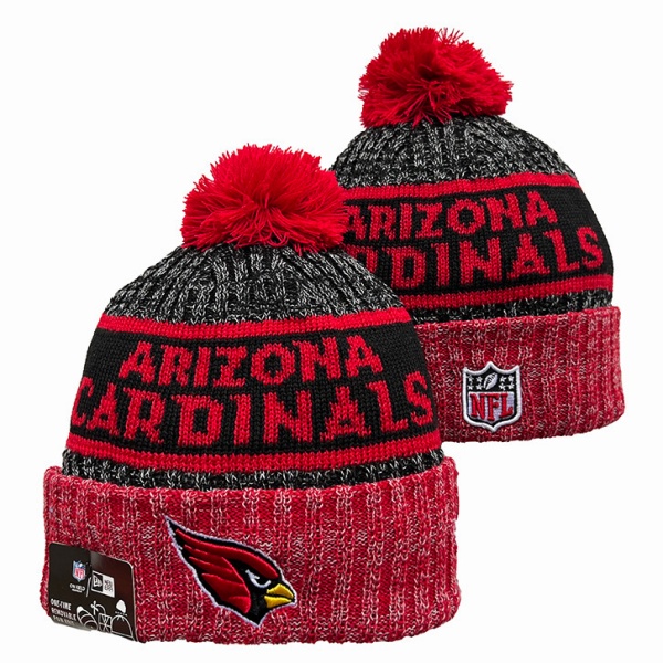 NFL Beanies(1)-0095