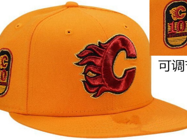 NHL Snapbacks-0035