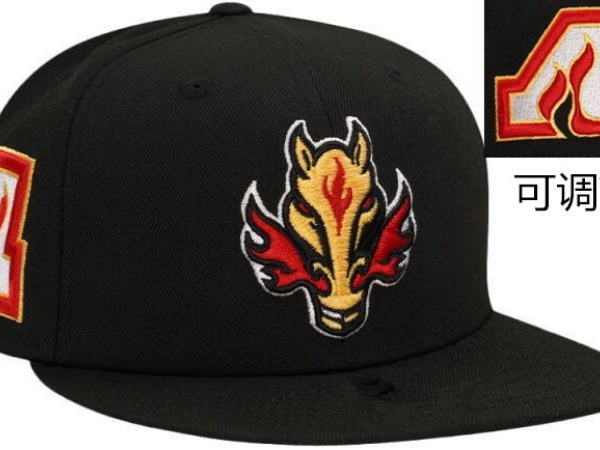 NHL Snapbacks-0038