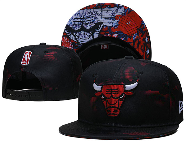 NBA Snapbacks(1)-0054