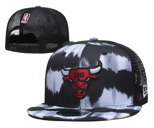 NBA Snapbacks(1)-0055