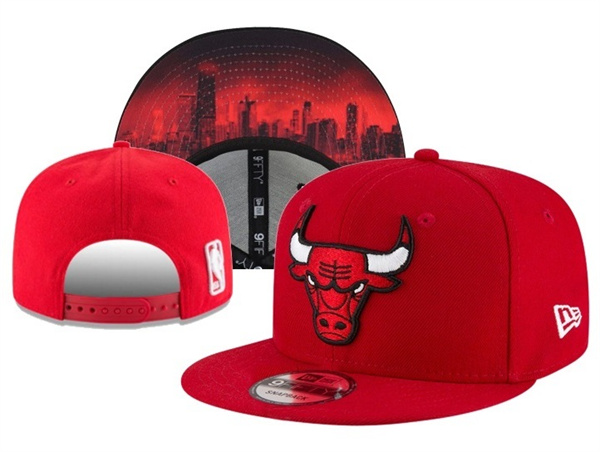 NBA Snapbacks(1)-0058