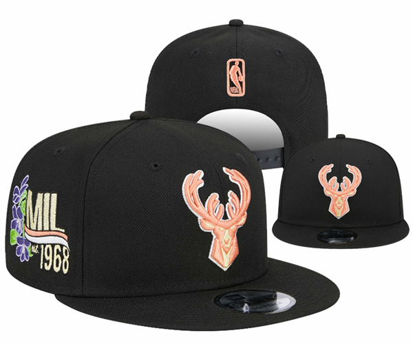 NBA Snapbacks(1)-0065