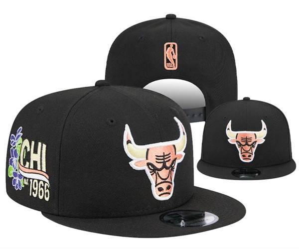NBA Snapbacks(1)-0066