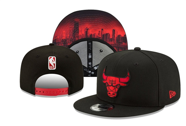 NBA Snapbacks(1)-0070