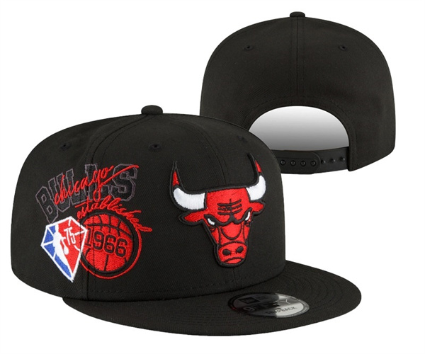 NBA Snapbacks(1)-0072