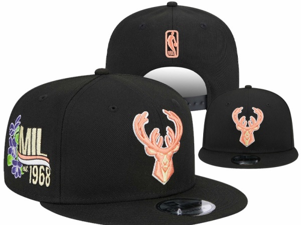 NBA Snapbacks(1)-0009