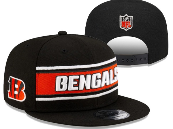 NFL Snapbacks(1)-0146