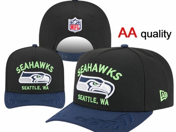 NFL Snapbacks(1)-0172