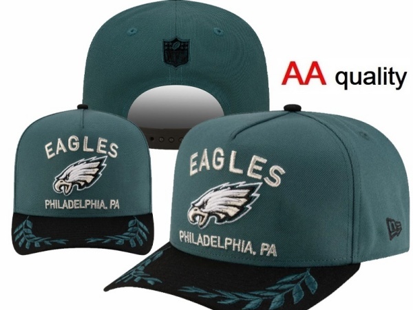 NFL Snapbacks(1)-0271