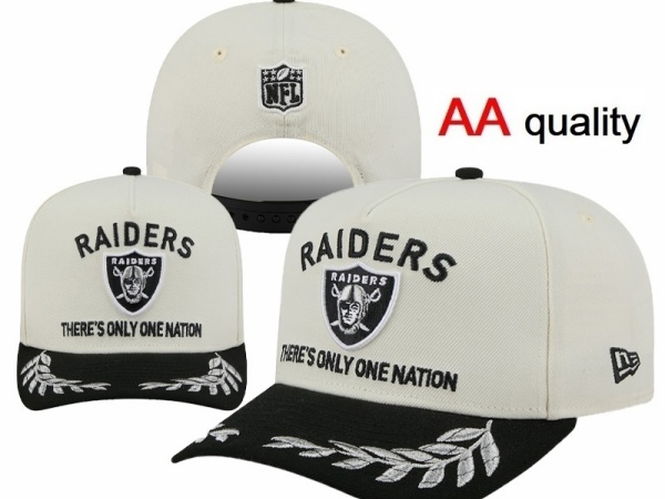 NFL Snapbacks(1)-0283